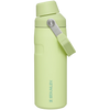 IceFlow Bottle With FastFlow Lid 16oz