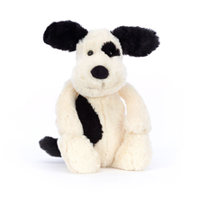  Bashful Black & Cream Medium Puppy