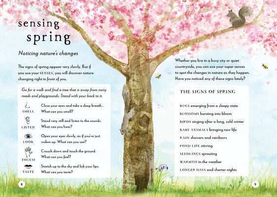 A Field Guide to Spring