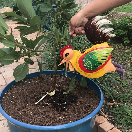 Plant Pals Hand-Painted Watering Can