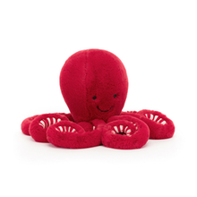  Cranberry Octopus Little