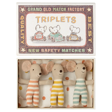  Triplets, Baby Mice In Matchbox