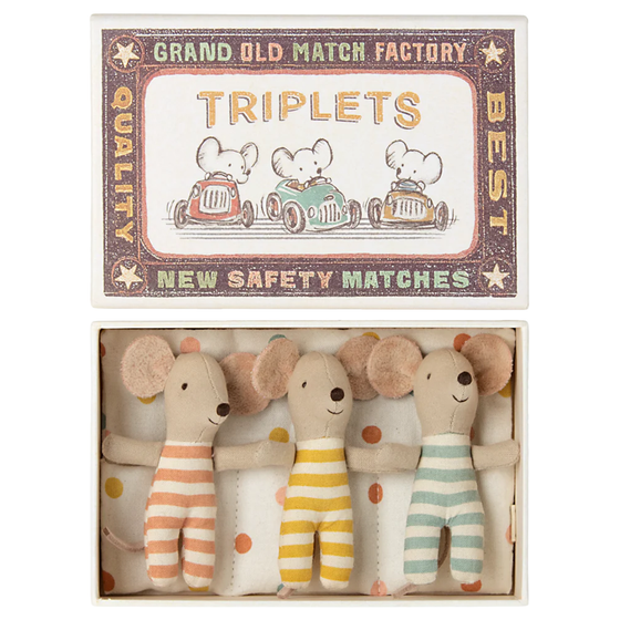 Triplets, Baby Mice In Matchbox