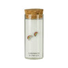 Studs Kids Earrings In A Bottle