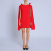 Ribbon Applique Caped A-Line Mini Dress