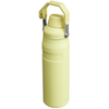 IceFlow Aerolight Bottle with FastFlow Lid 24oz