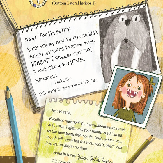 Letters from My Tooth Fairy Picture Book