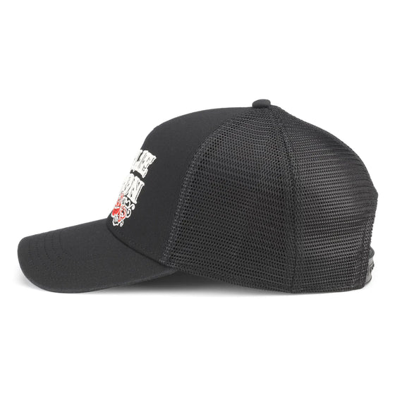 Willie Nelson Valin Hat