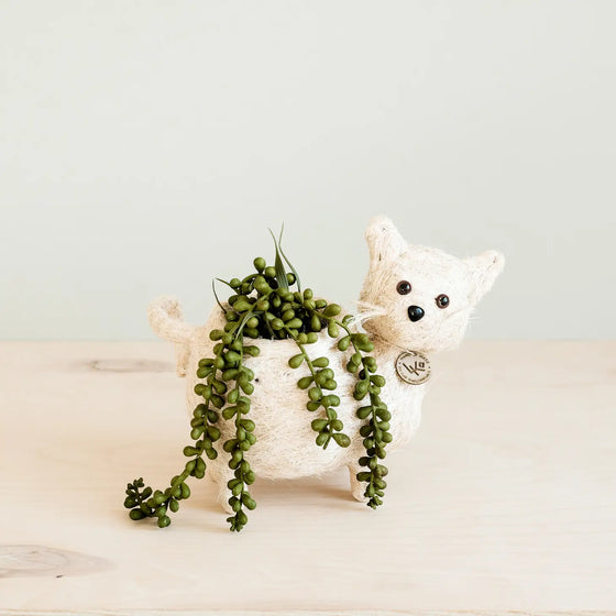 Baby Cat Planter