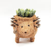 Hedgehog Planter